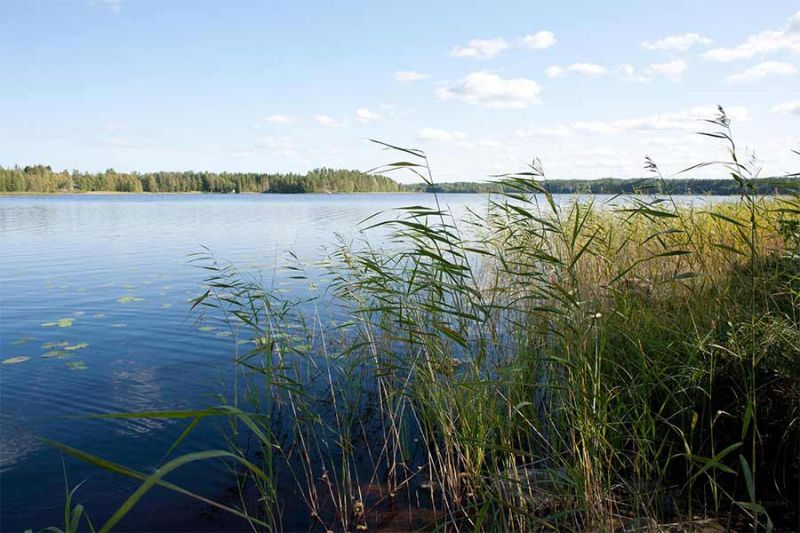 Kaidan Kiho, Kilpikonna huvila Kilpijärvi