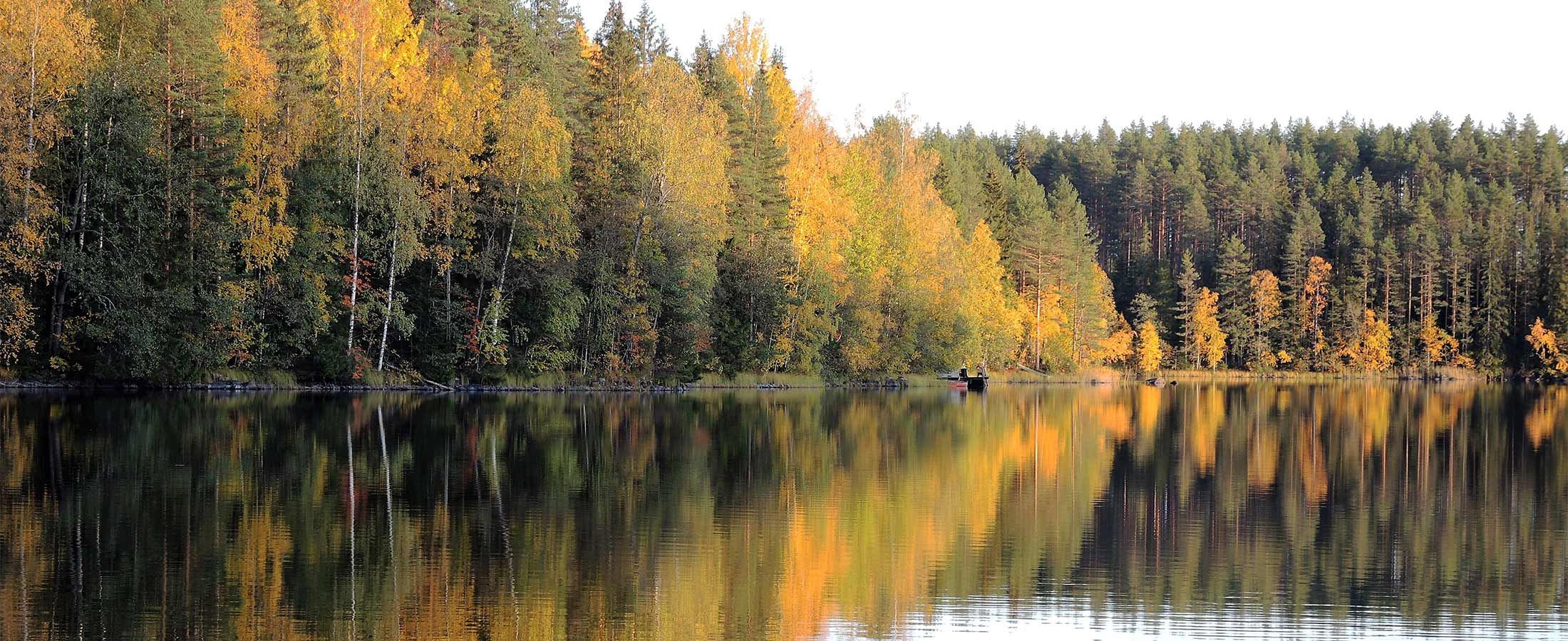 Autumn-colours-Kaidan-Kiho